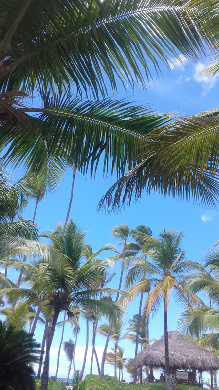 Отдых в отеле Occidental Punta Cana в Доминикане, Пунта Кана