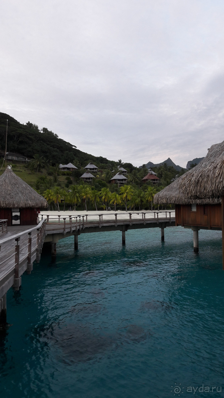 Рай на земле