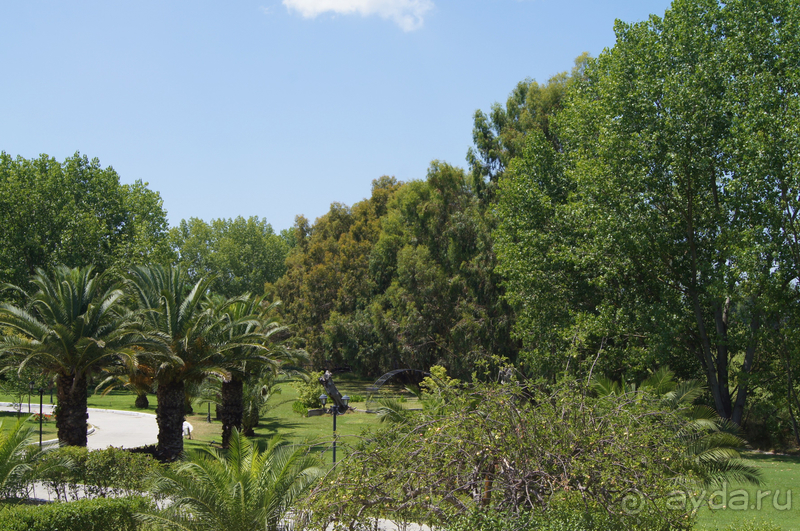 Отдых в Халкидики