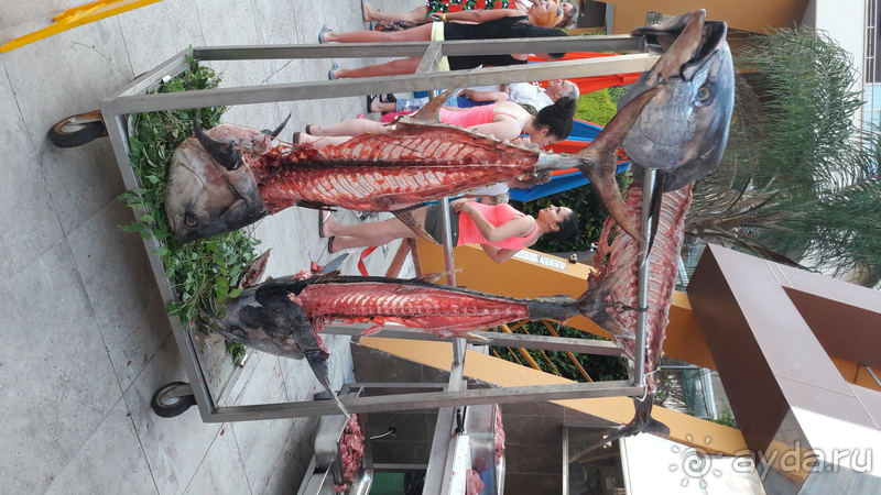 Бюджетная пятерка!