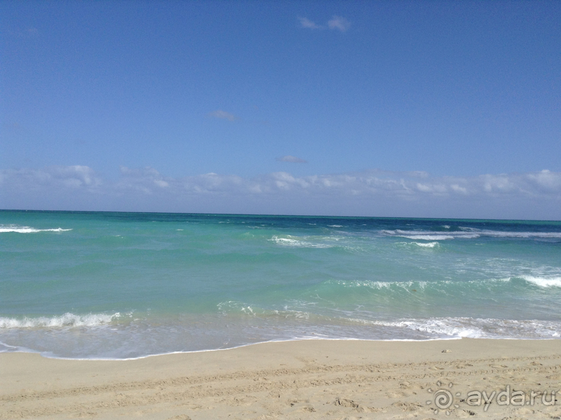 Сказочный океан