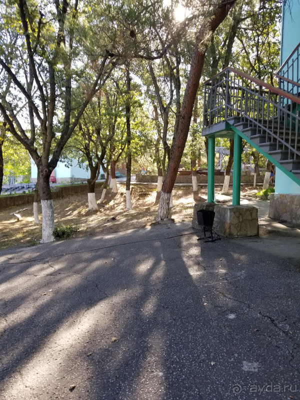 Для неприхотливых