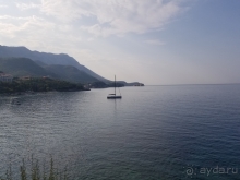 Нормальная Магнолия