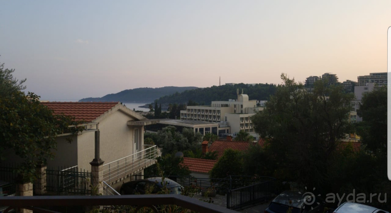 Нормальная Магнолия