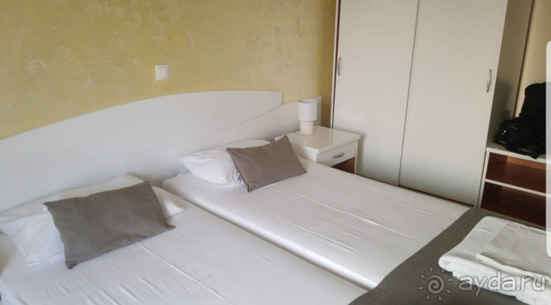 Нормальная Магнолия