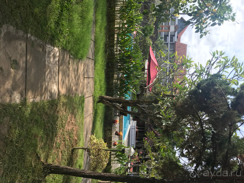 Сплошное разочарование