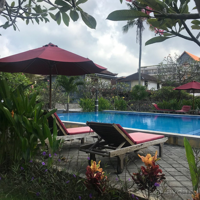 Сплошное разочарование