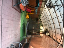 фото Белка на воде	