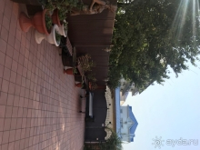 фото Белка на воде	