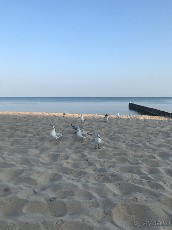 Гостеприимно