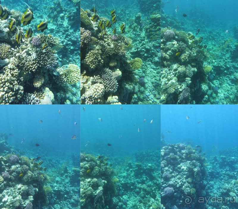 Jaz Fanara Resort Шарм-эш-Шэйх