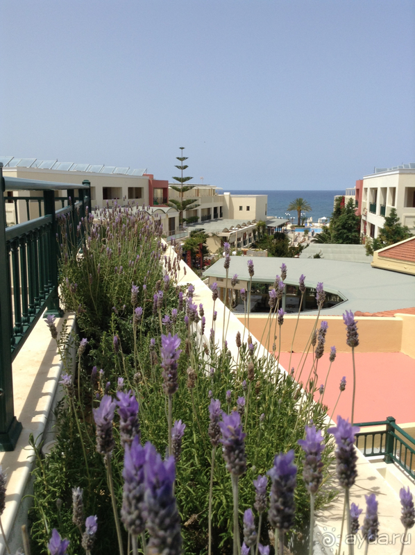 Крит в конце мая