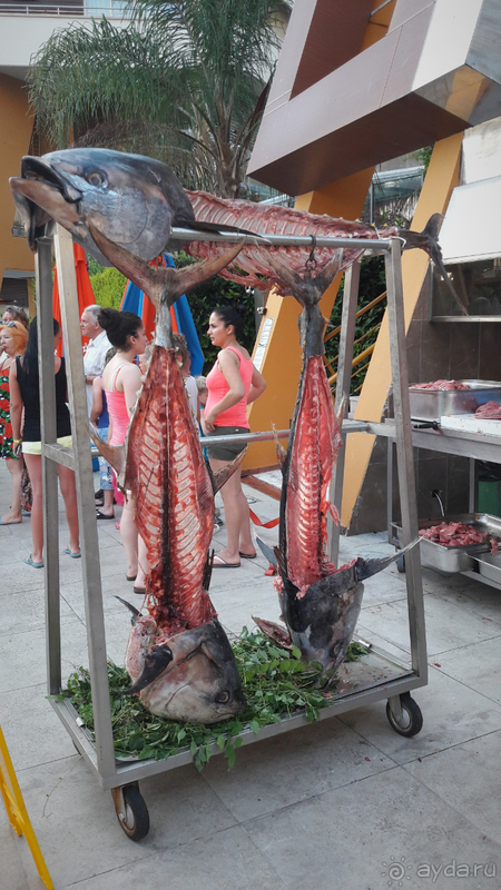 Отличная бюджетная пятерка