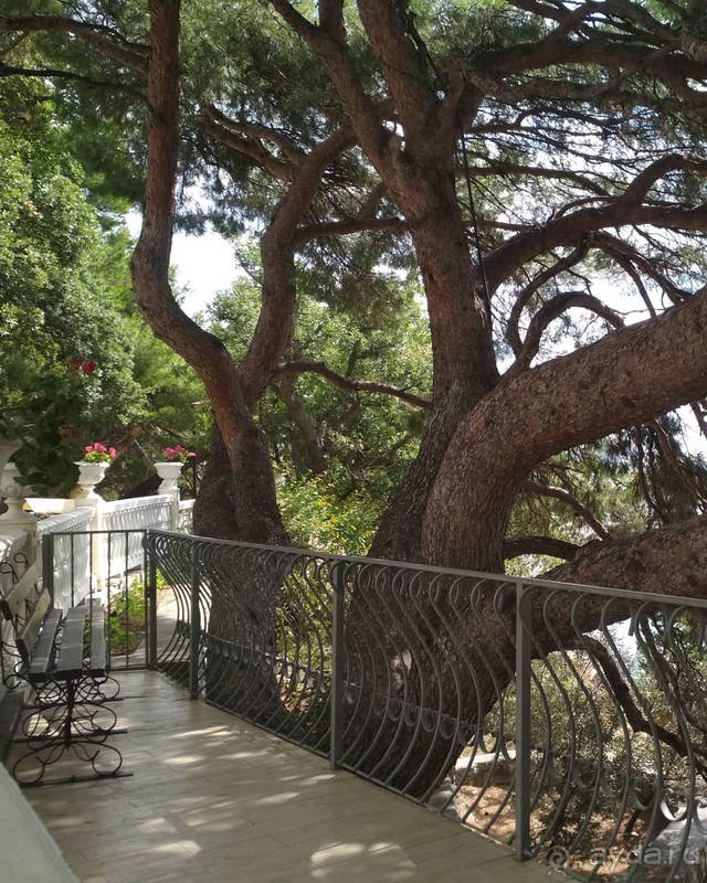 Не ожидали многого, но нам здесь понравилось!