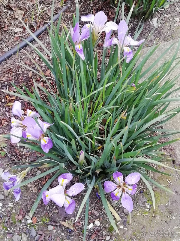 Счастливый январь в Крыму.