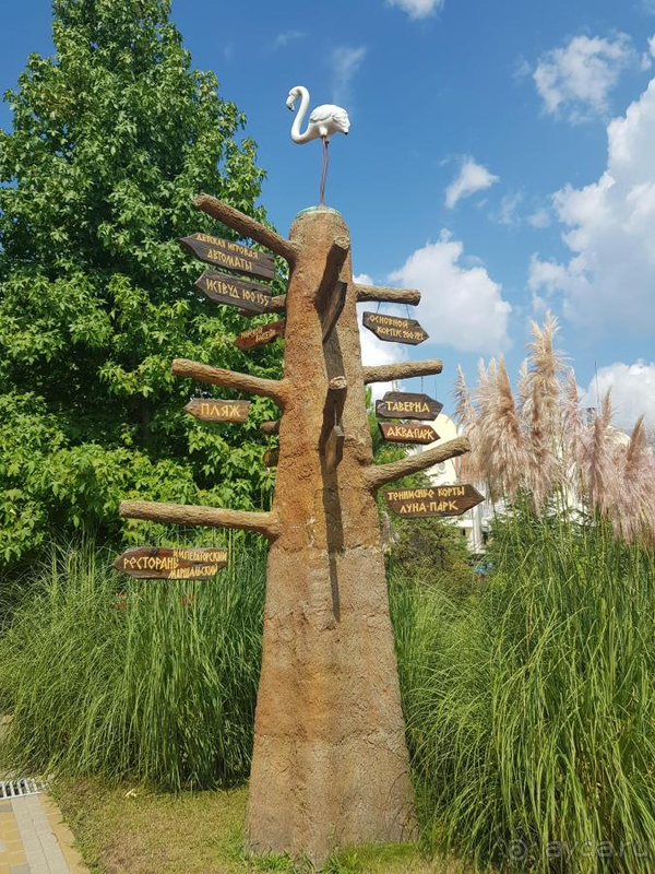 Почувствовали себя как дома.