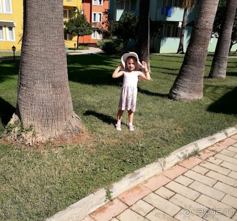 Это было великолепно!