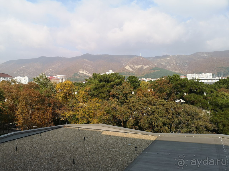 Впечатление об отеле осталось хорошим. Но есть минусы...