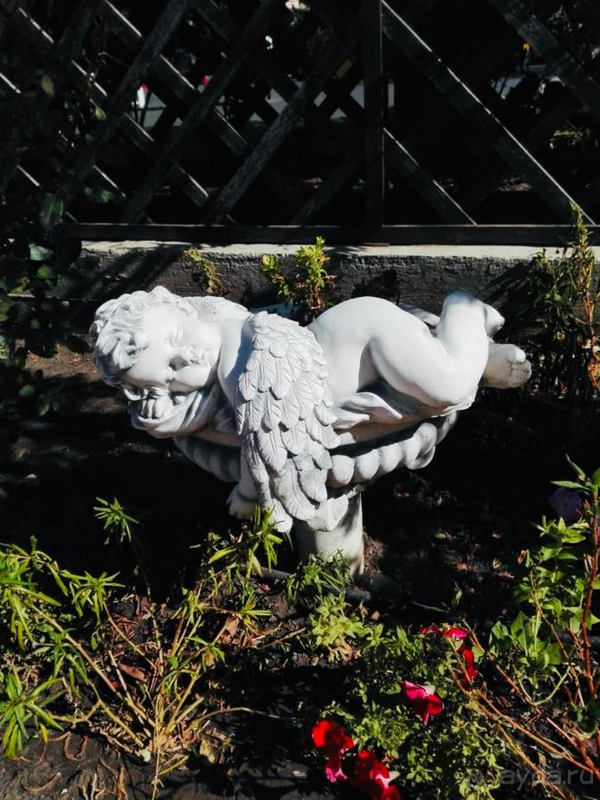 Отдых впечатляюще-прекрасный! Отдых впечатляюще-прекрасный!