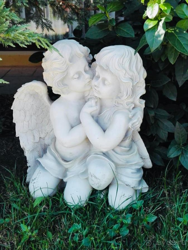 фото Аврора