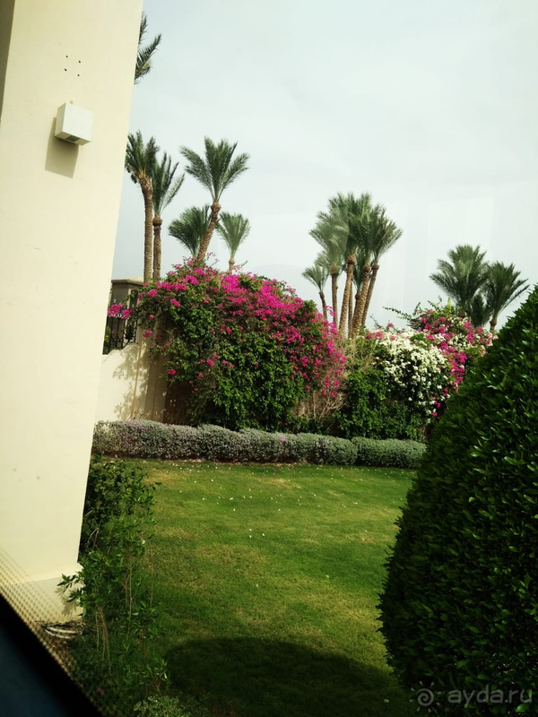 Прекрасный отель для отдыха всей семьёй!