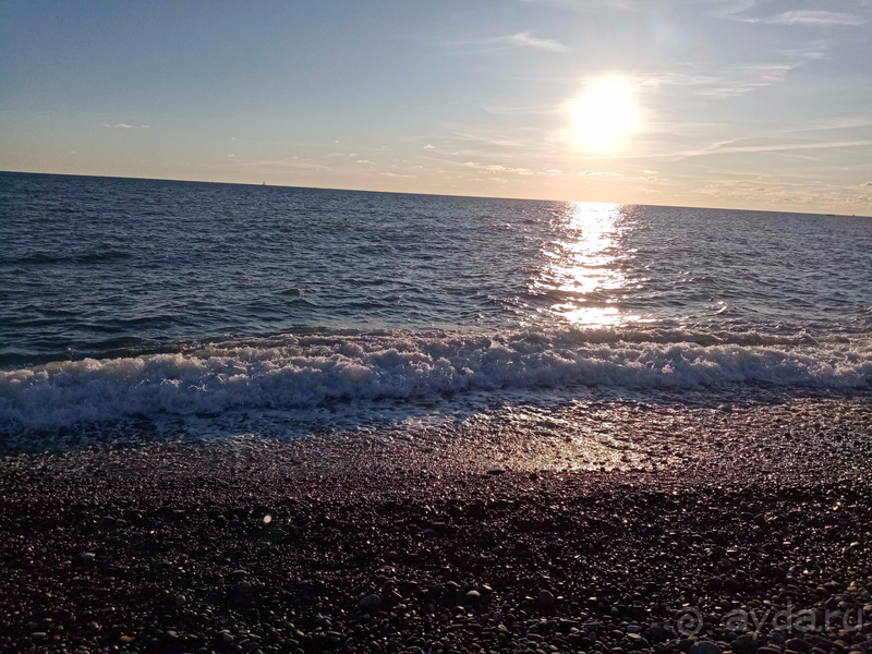 Отдых в Сочи парк отеле октябрь 2019