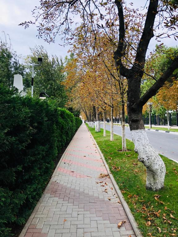 Хорошо, но пляж арендован у санатория "Солнечный берег"