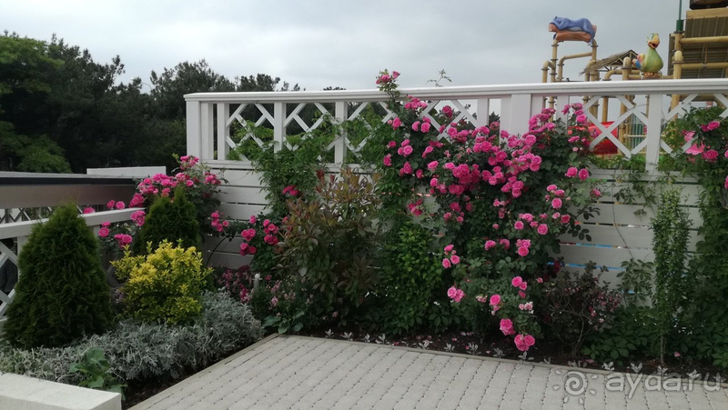 Alean Biarritz очень крутой!