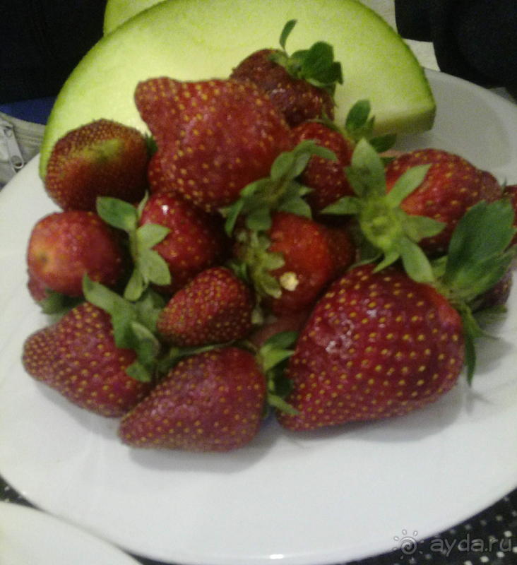 Прекрасный отель для семейного отдыха