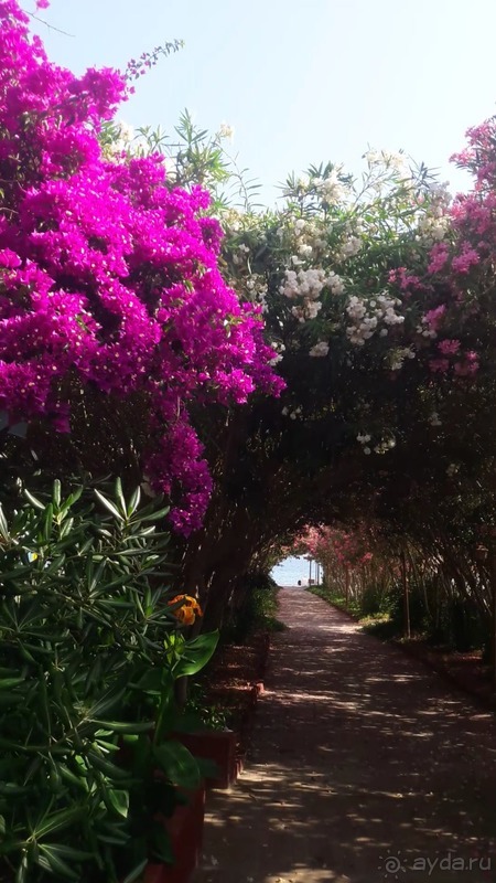 Прекрасный отель для семейного отдыха