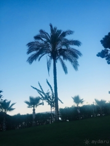 фото Crystal Aura Beach Resort & SPA