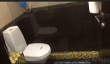 Сухо по фактам