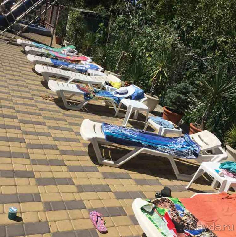 Сухо по фактам