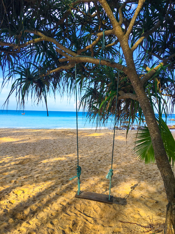 Медовый месяц в сказке