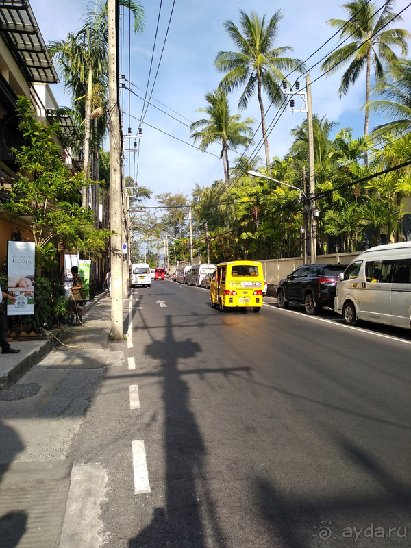 фото Patong Dynasty