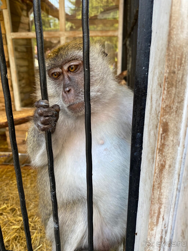 Отель семейный, но если детей нет, тут делать нечего!