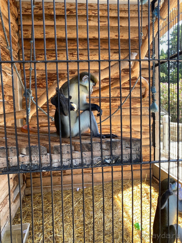 Отель семейный, но если детей нет, тут делать нечего!