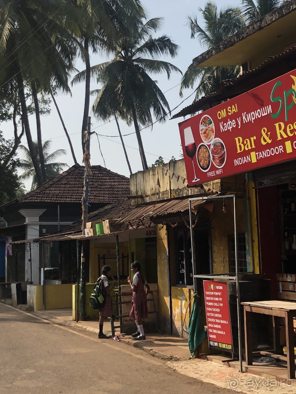 ГОА в Ноябре