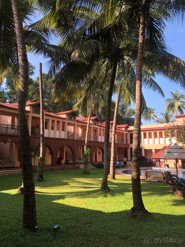 ГОА в Ноябре