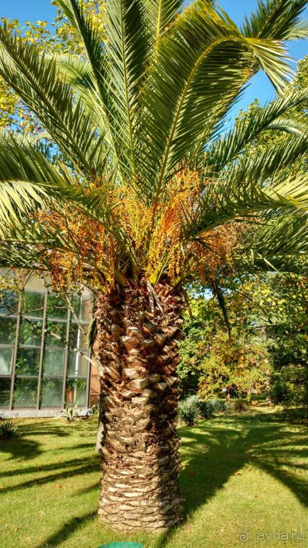 Всё было замечательно!