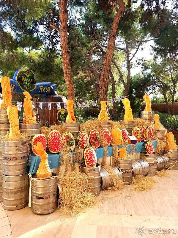 Отдых был чудесным!