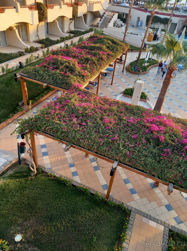 Отдыха приятные воспоминания