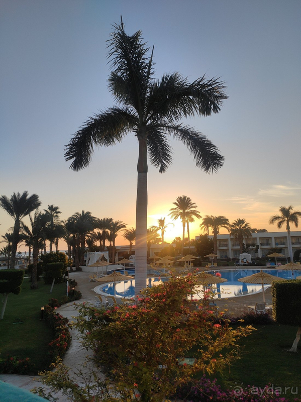 В целом очень довольна отдыхом.