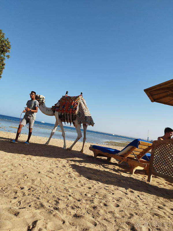 Хороший уютный отель в Хургаде