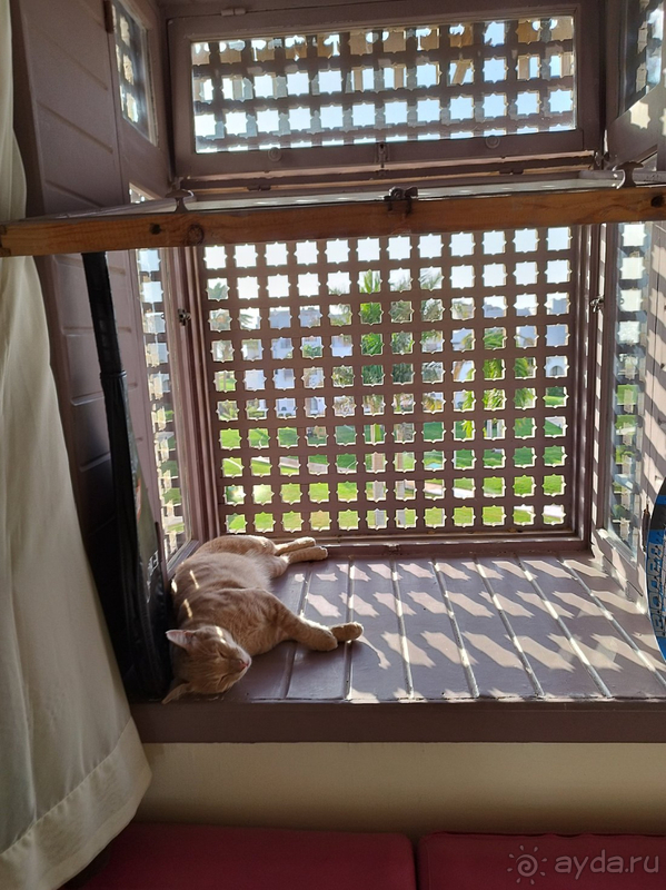 Хороший уютный отель в Хургаде