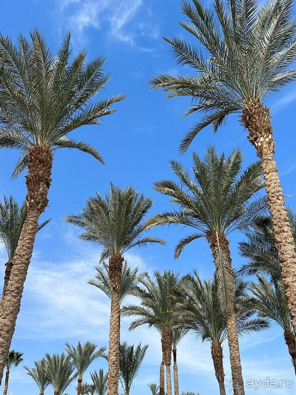 Отличный отдых!