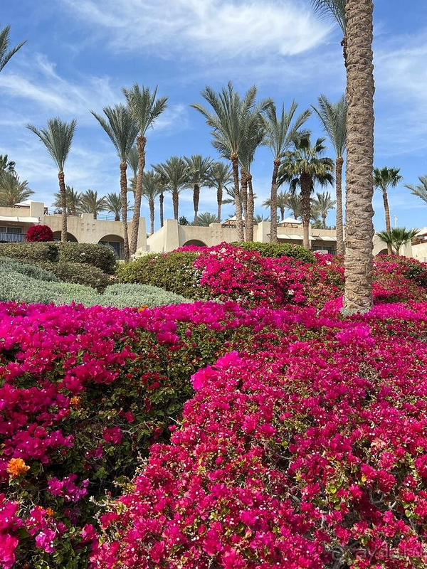 Отличный отдых!