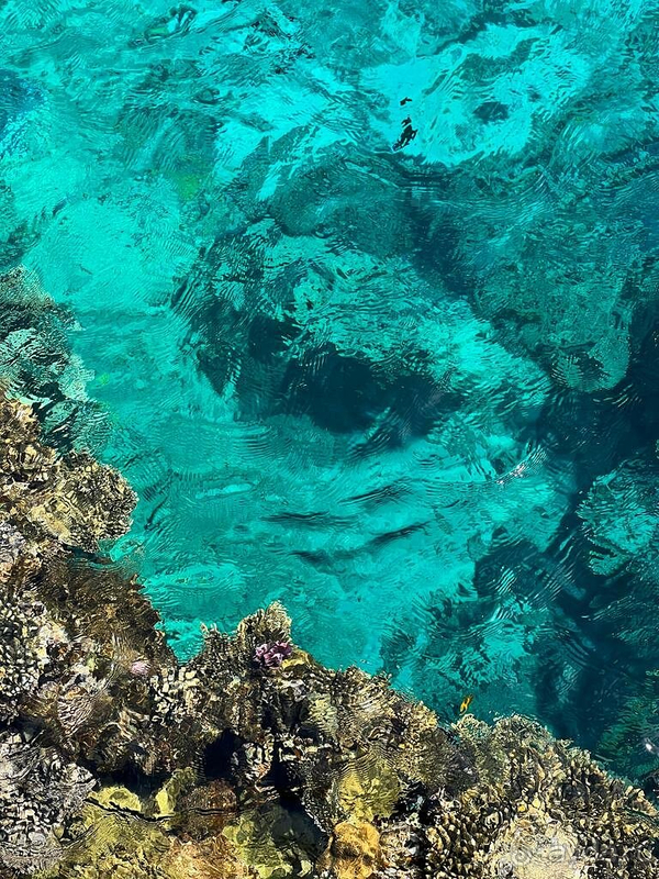 Отличный отдых!