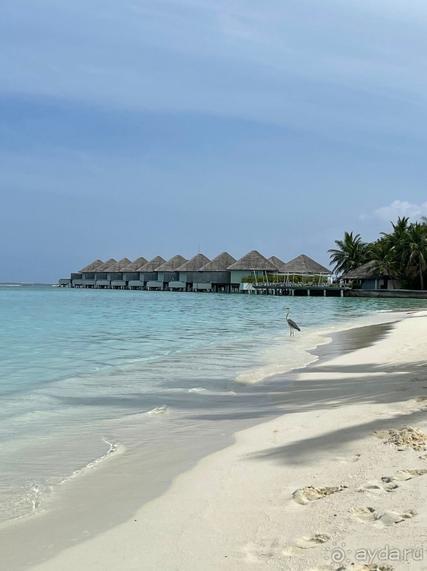 Это настоящие Мальдивы