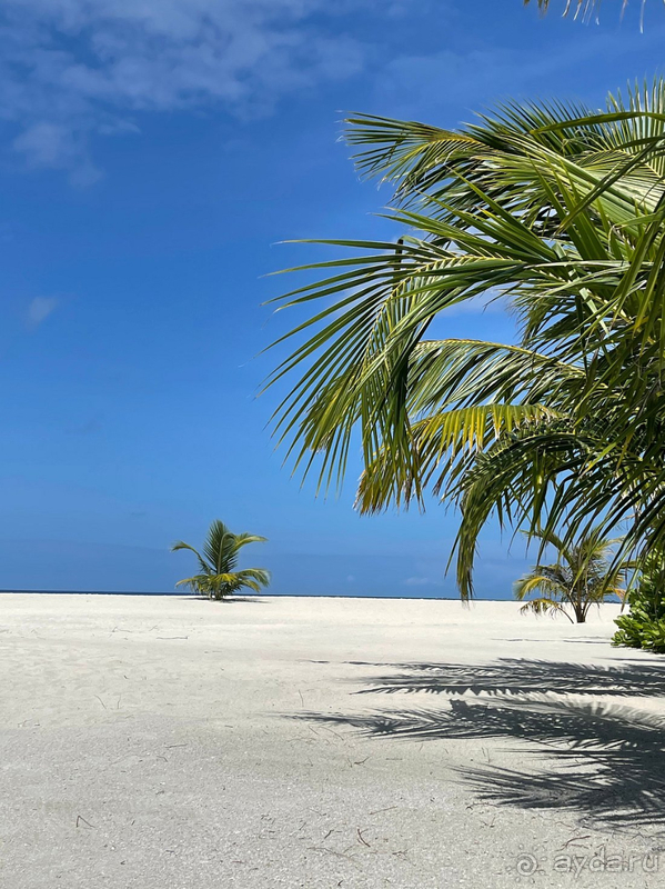 Это настоящие Мальдивы